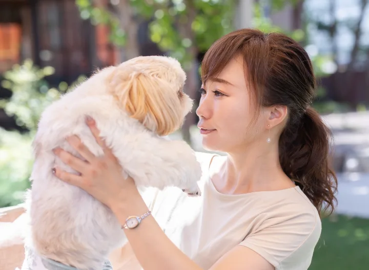 飼い主さんに抱かれている小型犬